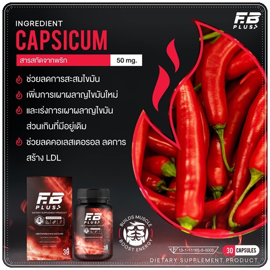 เอฟบีพลัส FB Plus เร่งเบิร์น เร่งเผาผลาญ (ของแท้ ส่งฟรี)