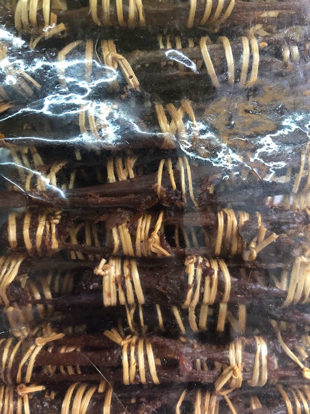 เนื้อแพะแห้ง ห่อใหญ่ เนื้อแพะแดดเดียว ขนาดบรรจุประมาณ 140 กรัม Sun Dried Goat Meat เนื้อแพะพร้อมทาน อาหารอิสลาม อาหารแห้ง เนื้อแพะแห้ง အောင်ဆိတ်သားခြောက်