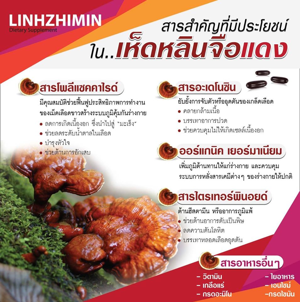 หลินจือมิน ผลิตภัณฑ์เสริมอาหาร (Linhzhimin)