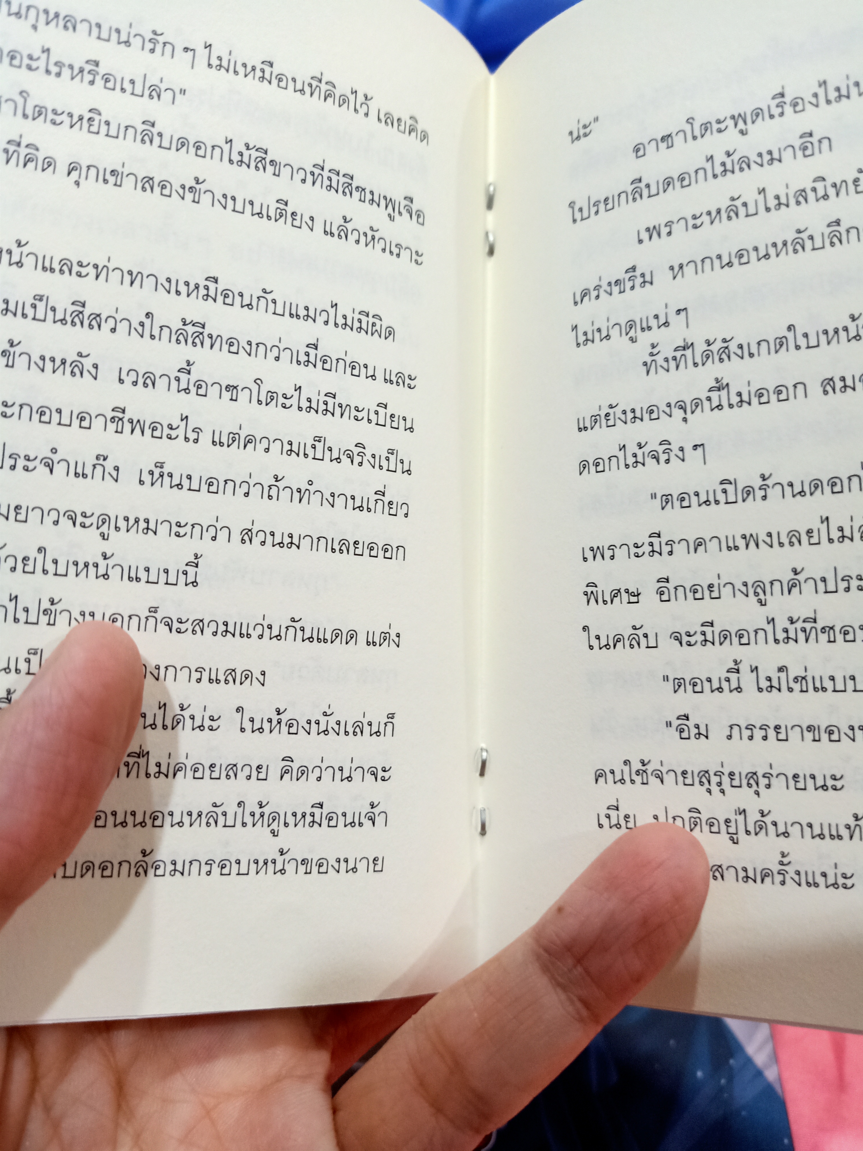 นิยายแปล Flower and knife รอบจอง