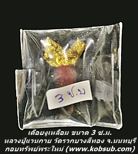 เดือยงูเหลือม ขนาด 3 ซ.ม. หลวงพ่อแวนกาย พันธสาโร