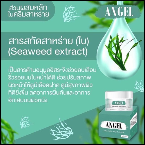 ออร่าแองเจิลไนท์ครีม Angel Aura Angel Night Cream ครีมสาหร่ายหน้าใสลดสิว