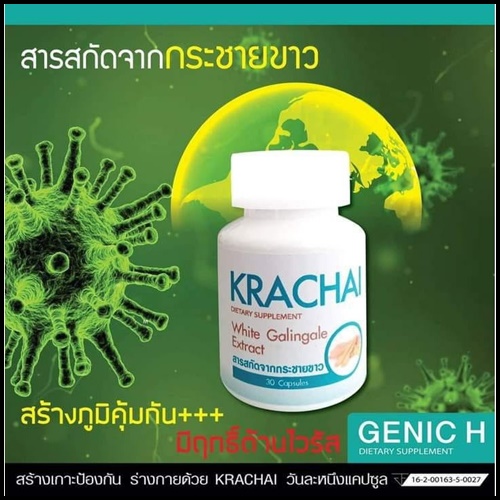 Krachai White Galingale ผลิตภัณฑ์อาหารเสริม จากกระชายขาว