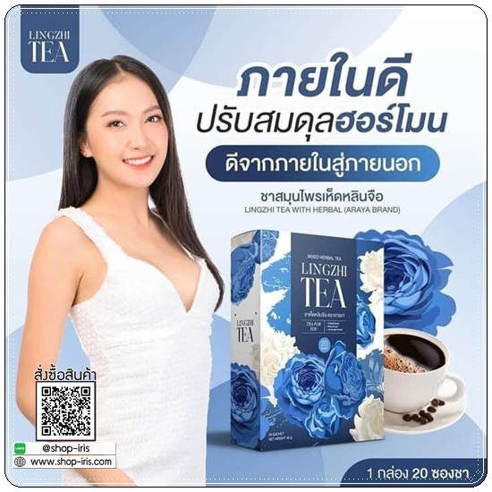 ชาเห็ดหลินจือ อารยา Lingzhi Tea Araya (1แถม2)