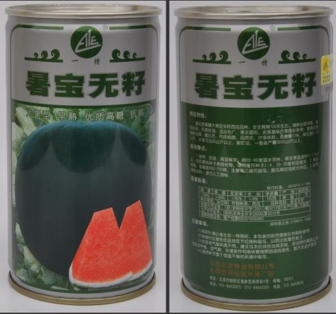 แตงโมไร้เมล็ดแบล็ก - Black Seedless Watermelon