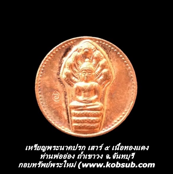 เหรียญพระนาคปรก เนื้อทองแดง ท่านพ่ออ่อง ถ้ำเขาวง จ.จันทบุรี