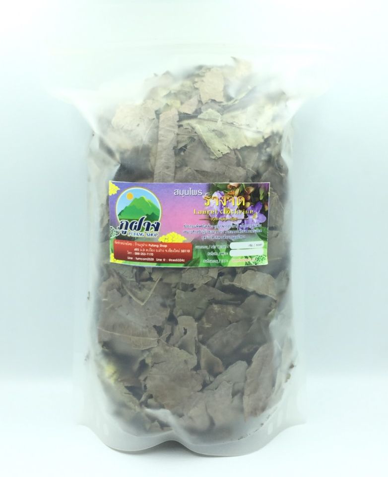รางจืด ใบรางจืดแห้ง ขนาด 100 กรัม Thunbergia laurifolia Lindl รางจืด ราชายาแก้พิษ สมุนไพรล้างพิษฤทธิ์เย็น