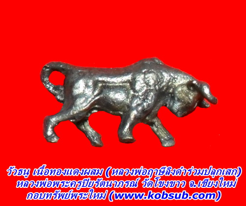 วัวธนู วัดโขงขาว เนื้อทองแดงผสม หลวงพ่อฤาษีลิงดำร่วมปลุกเสก