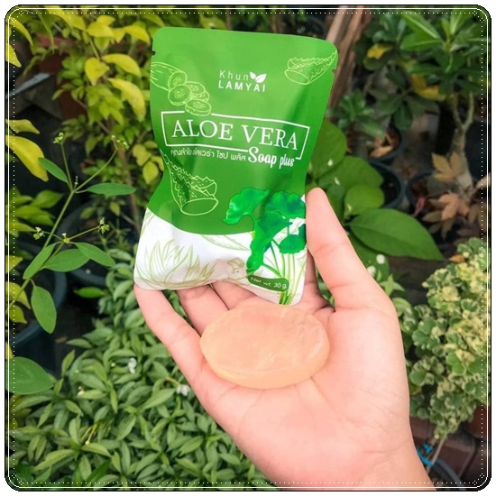 สบู่ว่านหางจระเข้ ใบบัวบก คุณลำไย Aloe Soap By KhunLamyai