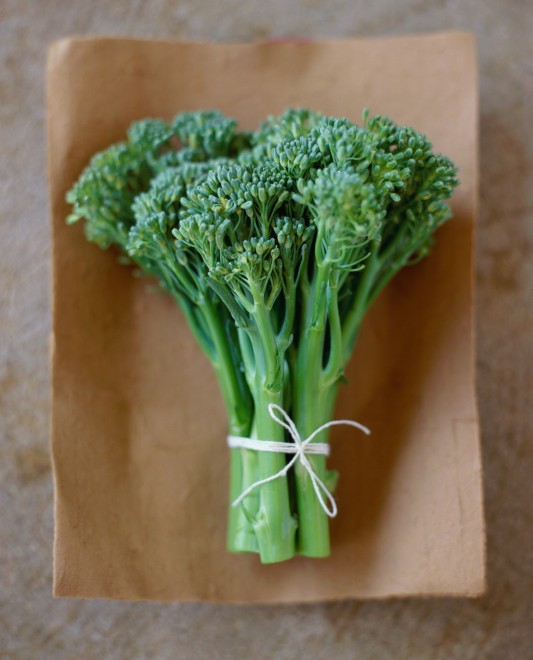 บรอกโคลี่ราพพินี - Rapini Broccoli
