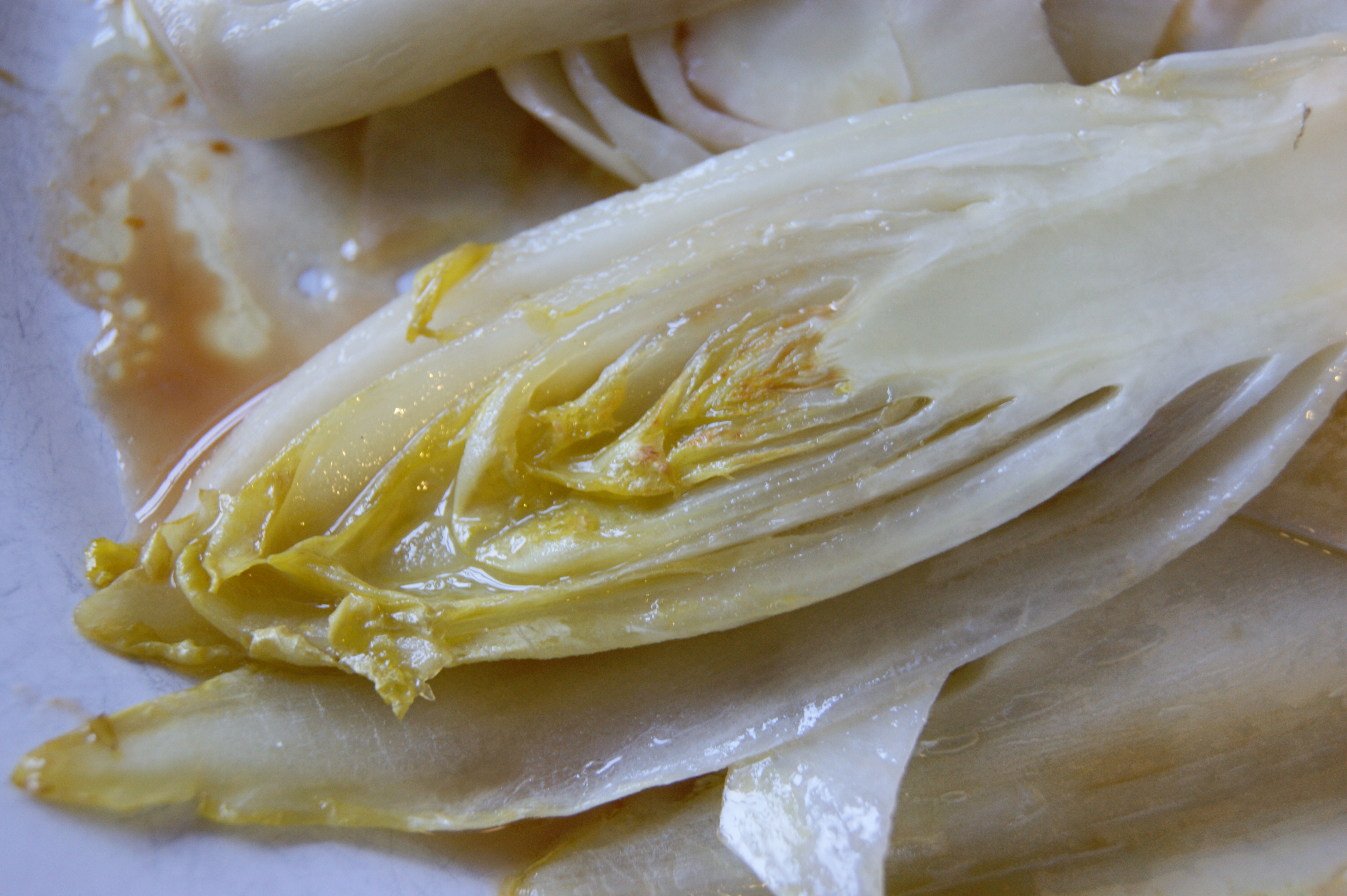 ชิโครี่บรัสเซลส์วิทลูฟ - Brussels Witloof Chicory