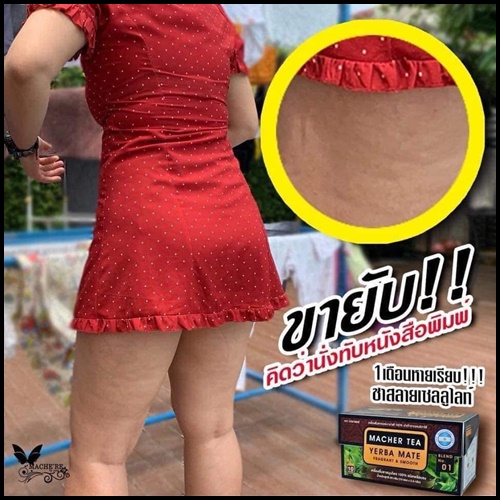 ชามาเต Macher Tea Yerba Mate