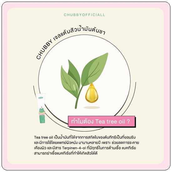 เจลแต้มสิวชับบี้ Chubby Tea Tree Acne Gel