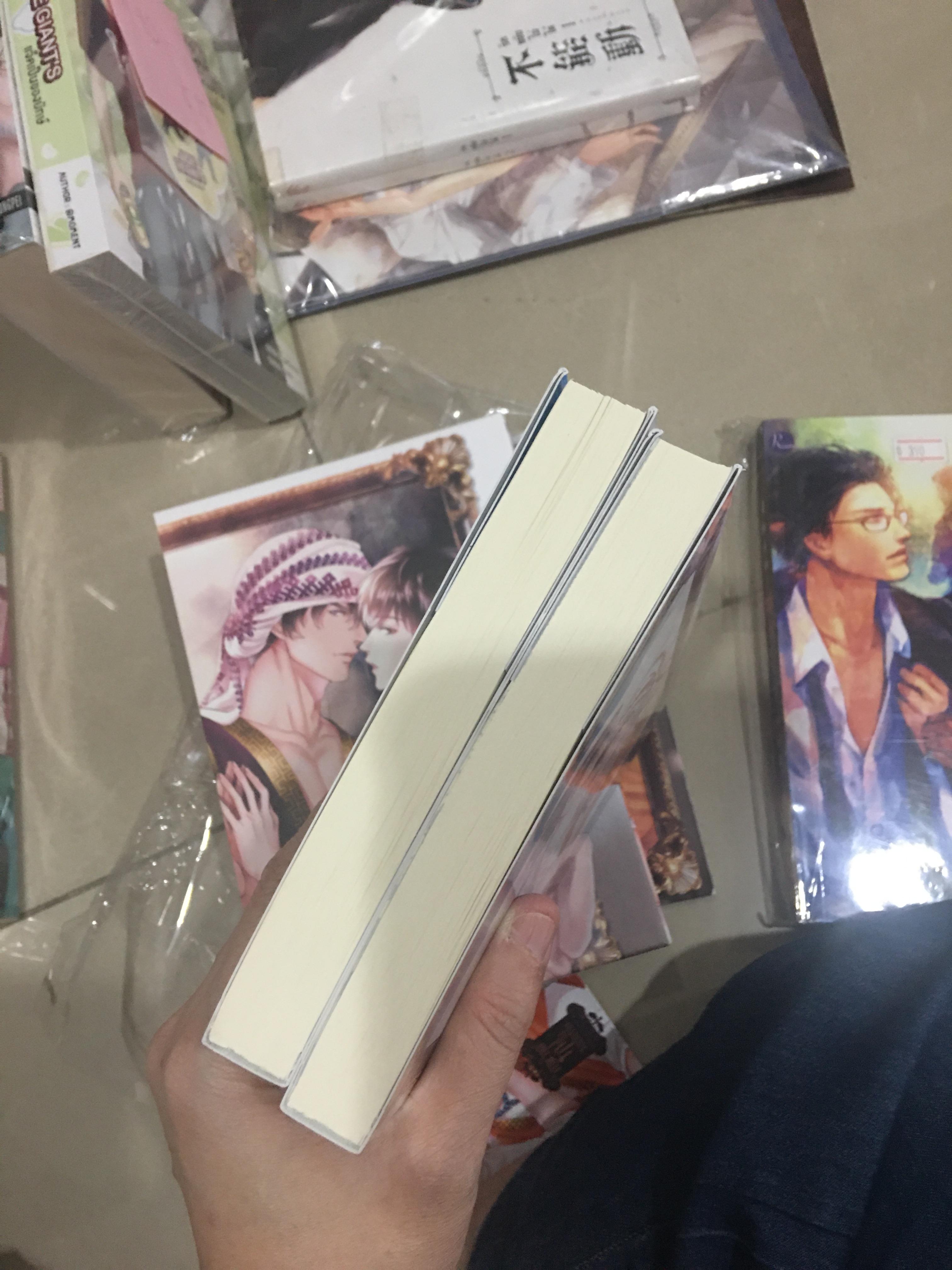นิยาย ภาพวาดรักในรอยทราย + ดวงใจเจ้าเพลิง