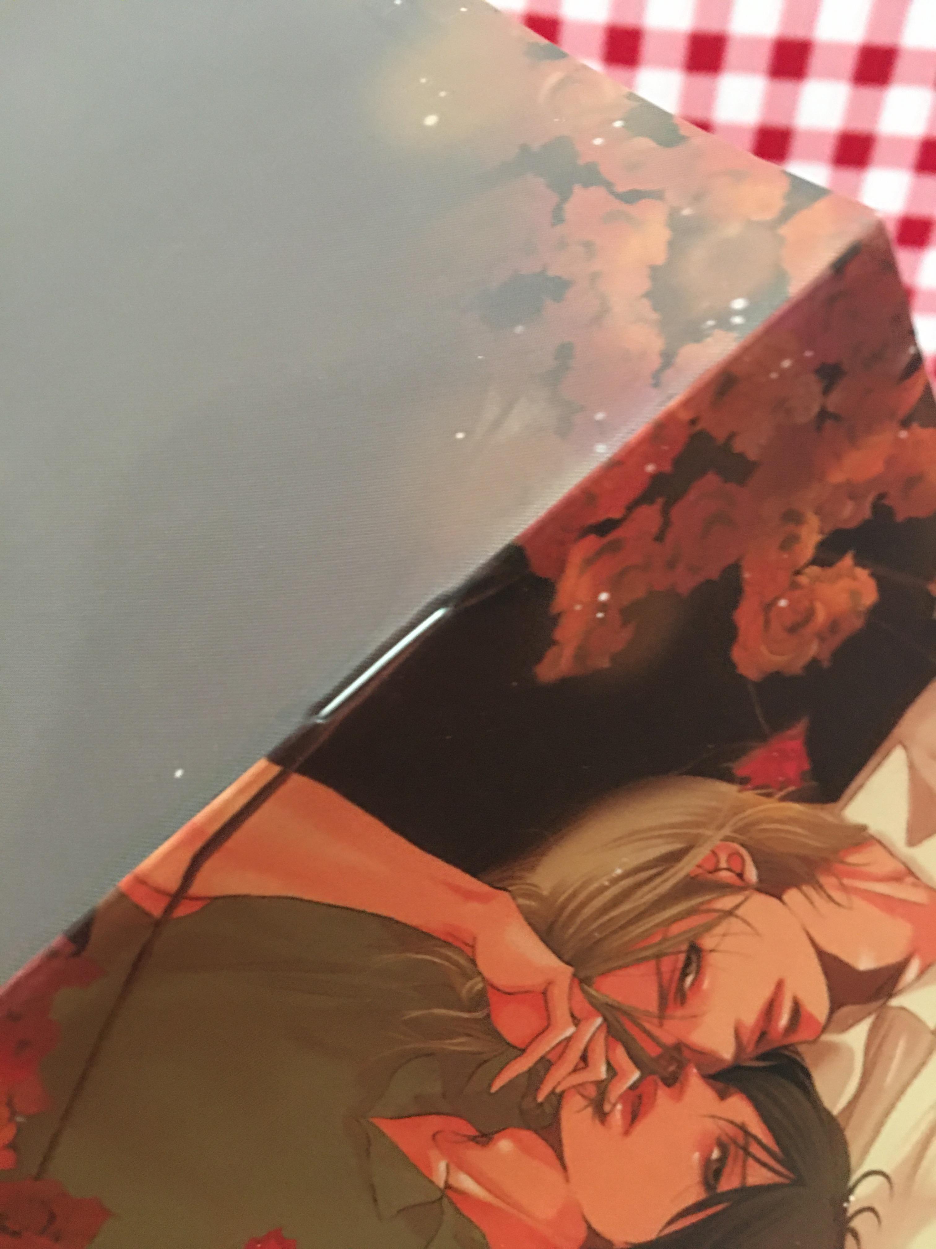 นิยายแปล never let you go again