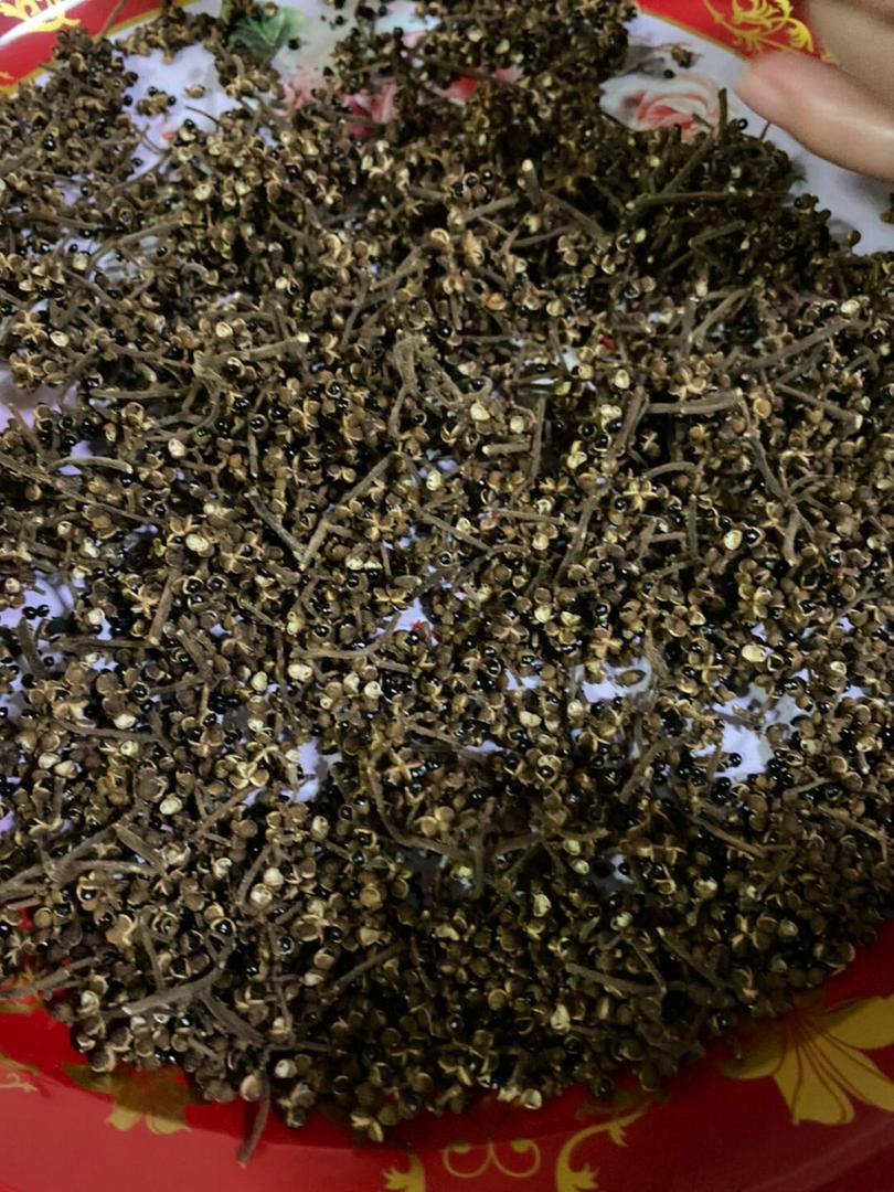 มะแขว่นติดก้าน 100g 🌿 จากยอดดอยเชียงใหม่ เครื่องเทศลาบ แกงฮังเล น้ำพริกอ่อง ไส้อั่ว อาหารล้านนาแท้ ชาวเหนือ ลูกระมาศ หมากมาศตากแห้ง | Zanthoxylum Limonella 100g Chiang Mai Mountain Spice For Larb Hang Le Nam Prik Ong Sai Ua Northern Thai Food