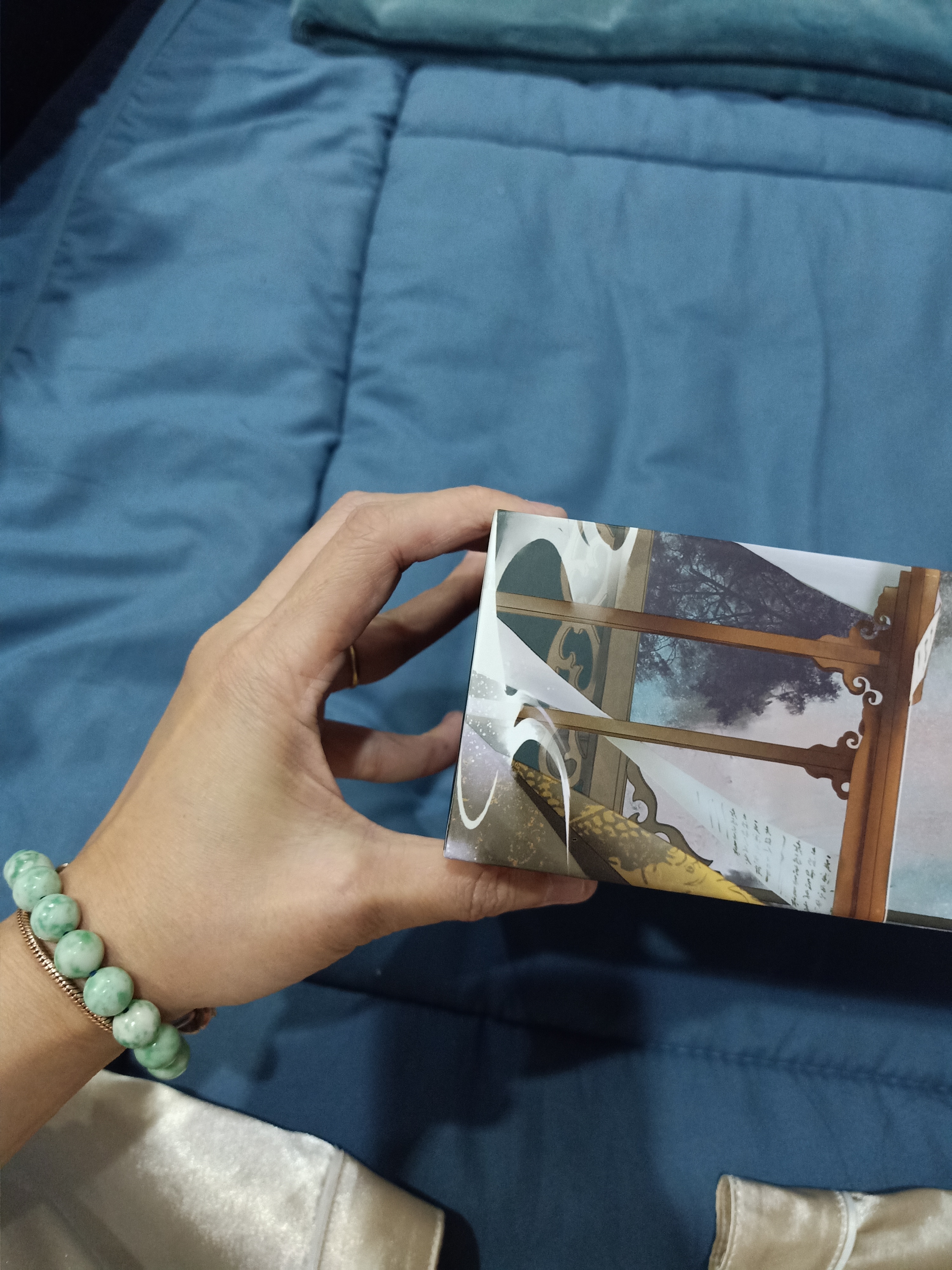 Boxset นิยายแปล ปีนั้นที่ข้าคนคงหา รอบจอง + สแตนดี้