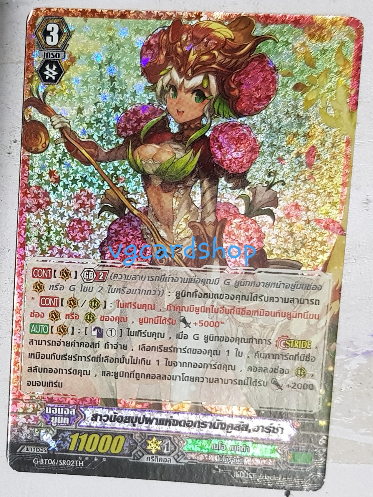 สาวน้อยบุปผาแห่งดอกรายังคูลัส อาร์ช่าsr