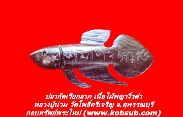 ปลากัดเรียกลาภ เนื้อไม้พญางิ้วดำ หลวงปู่น่วม วัดโพธิ์ศรีเจริญ