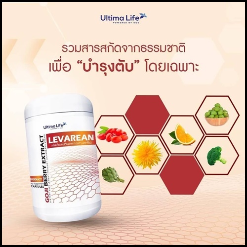 LEVAREAN By Ultima Life เลวารีน ตัวช่วยบำรุงตับ (โปรส่งฟรี)