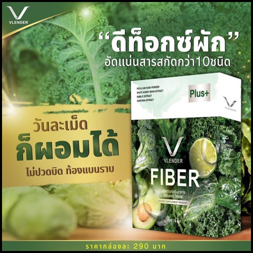 ดีท็อกซ์ผัก Vlender Fiber