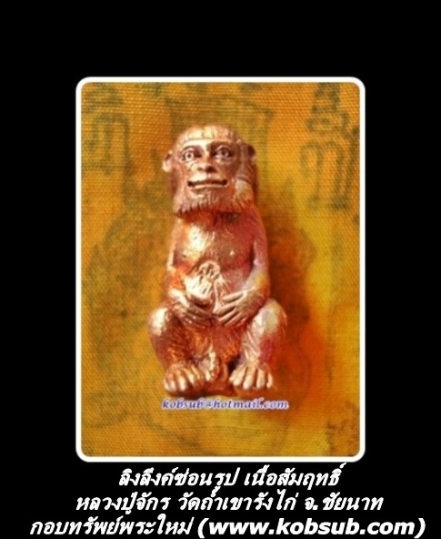 ลิงลึงค์ซ่อนรูป เนื้อสัมฤทธิ์ หลวงปู่จักร วัดถ้ำเขารังไก่