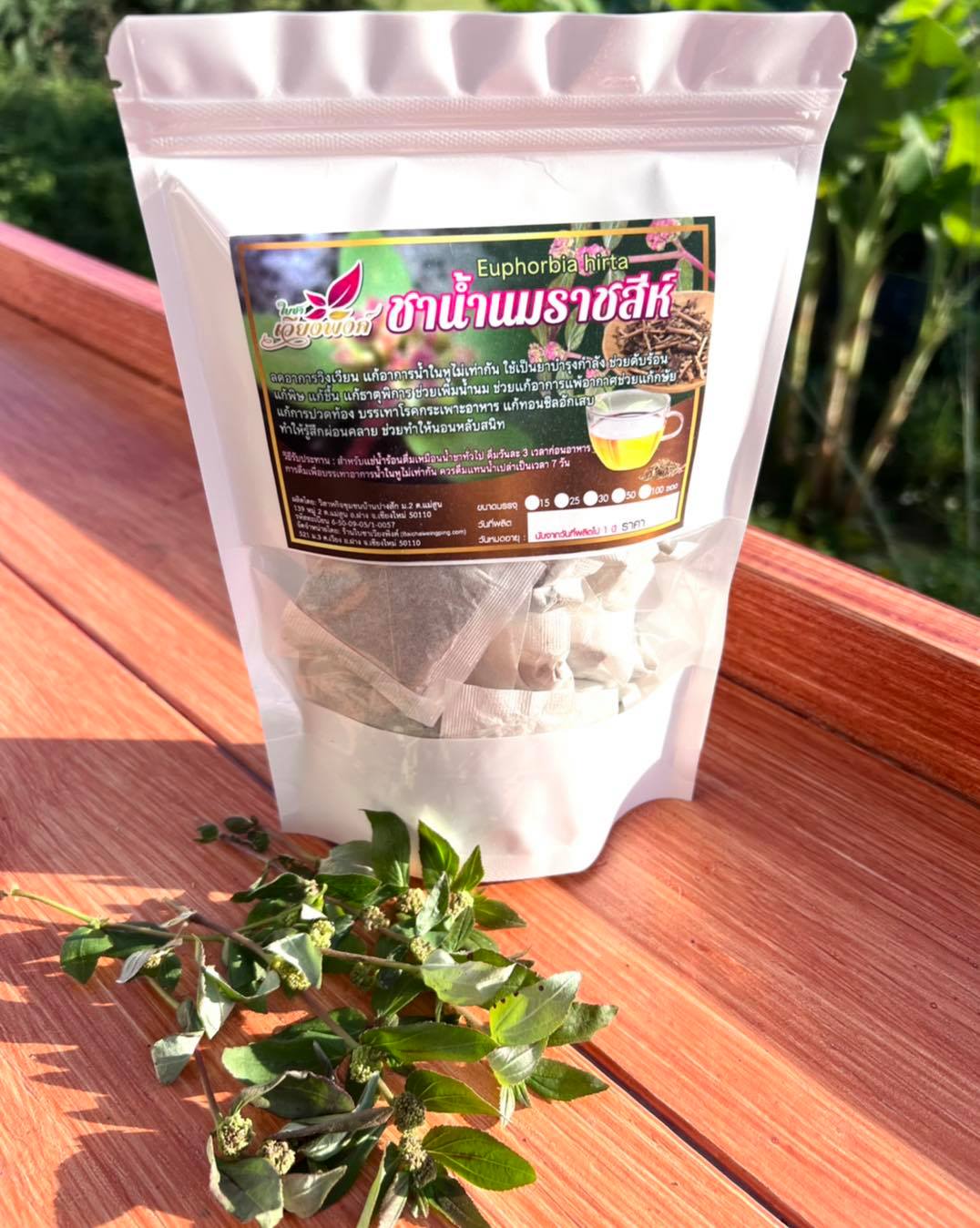 ชาน้ำนมราชสีห์ (ใบชาเวียงพิงค์) Garden spurge ขนาด 50 ซองชา สมุนไพรน้ำนมราชสีห์ บรรเทาอาการน้ำในหูไม่เท่ากัน เวียนหัว บ้านหมุน ช่วยกระตุ้นระบบภูมิคุ้มกันในร่างกาย