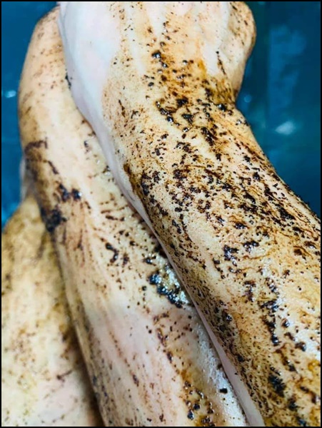 ครีมอาบน้ำสครับผิว พิชชี Phitchii Coffee Scrub Shower Cream พิชชี่ คอฟฟี่ สครับ