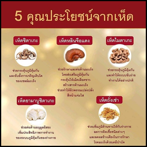 S.O.M. Lingzhi Sun หลินจือ ซัน ผลิตภัณฑ์เสริมอาหาร