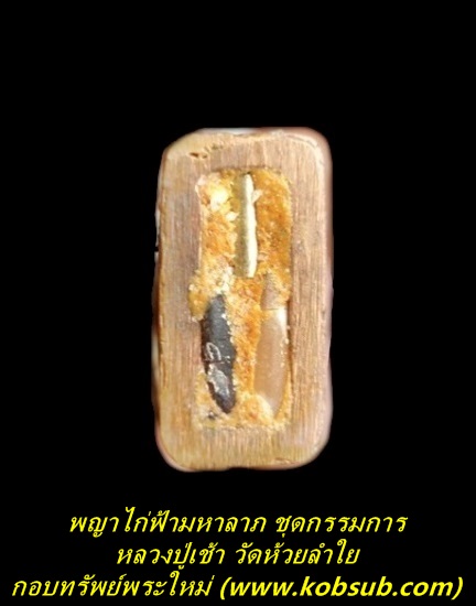 พญาไก่ฟ้ามหาลาภ ชุดกรรมการ หลวงปู่เช้า วัดห้วยลำใย