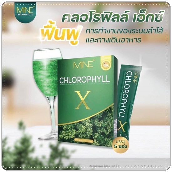 คลอโรฟิลล์ เอ็กซ์ CHLOROPHYLL X คลอโรฟิลล์มายมิ้น
