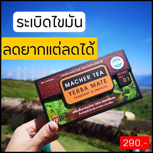 ชามาเต Macher Tea Yerba Mate