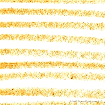 SIGMA :: Extended Wear Eye Liner - Drift อายไลเนอร์สี Drift ให้ดวงตากลมโต สีติดทนนาน ปราศจากสารกันเสีย