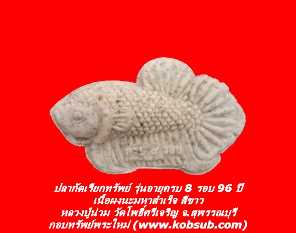 ปลากัดเรียกทรัพย์ รุ่นอายุครบ 8 รอบ 96 ปี เนื้อผงนะมหาสำเร็จ สีขาว หลวงปู่น่วม วัดโพธิ์ศรีเจริญ