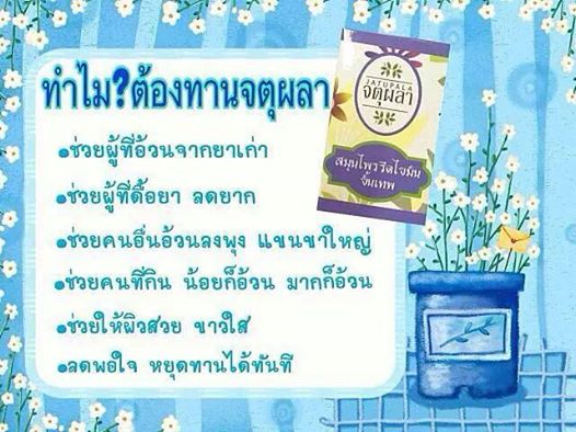 จตุผลา สมุนไพรรีดไขมัน