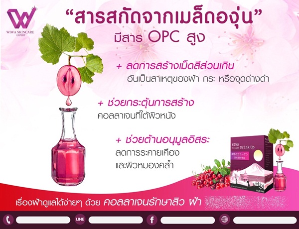 วีว่า คอลลาเจน ดริ้งอัพ (Wiwa Collagen Drink Up อาหารเสริมผิวขาวรักษาฝ้า) ส่งฟรี