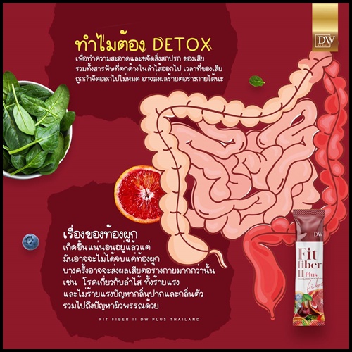 DW Fit Fiber ll Plus ฟิต ไฟเบอร์ พลัส