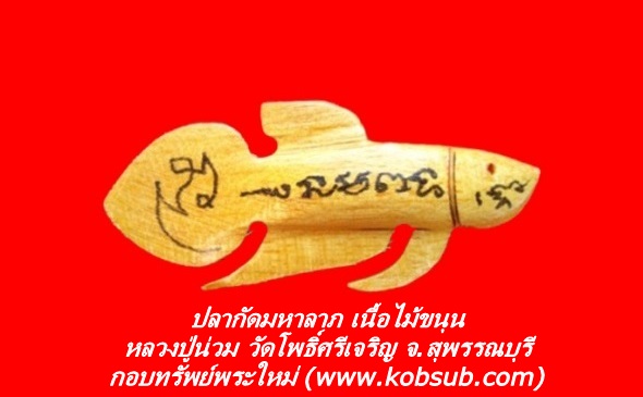ปลากัดเรียกลาภ เนื้อไม้ขนุน หลวงปู่น่วม วัดโพธิ์ศรีเจริญ
