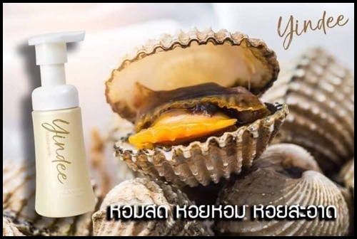 ยินดีมูส ฟิลลิ่งคลีนซิ่งมูส Yindee Mousse By Madame Fin ดูแลจุดซ่อนเร้น
