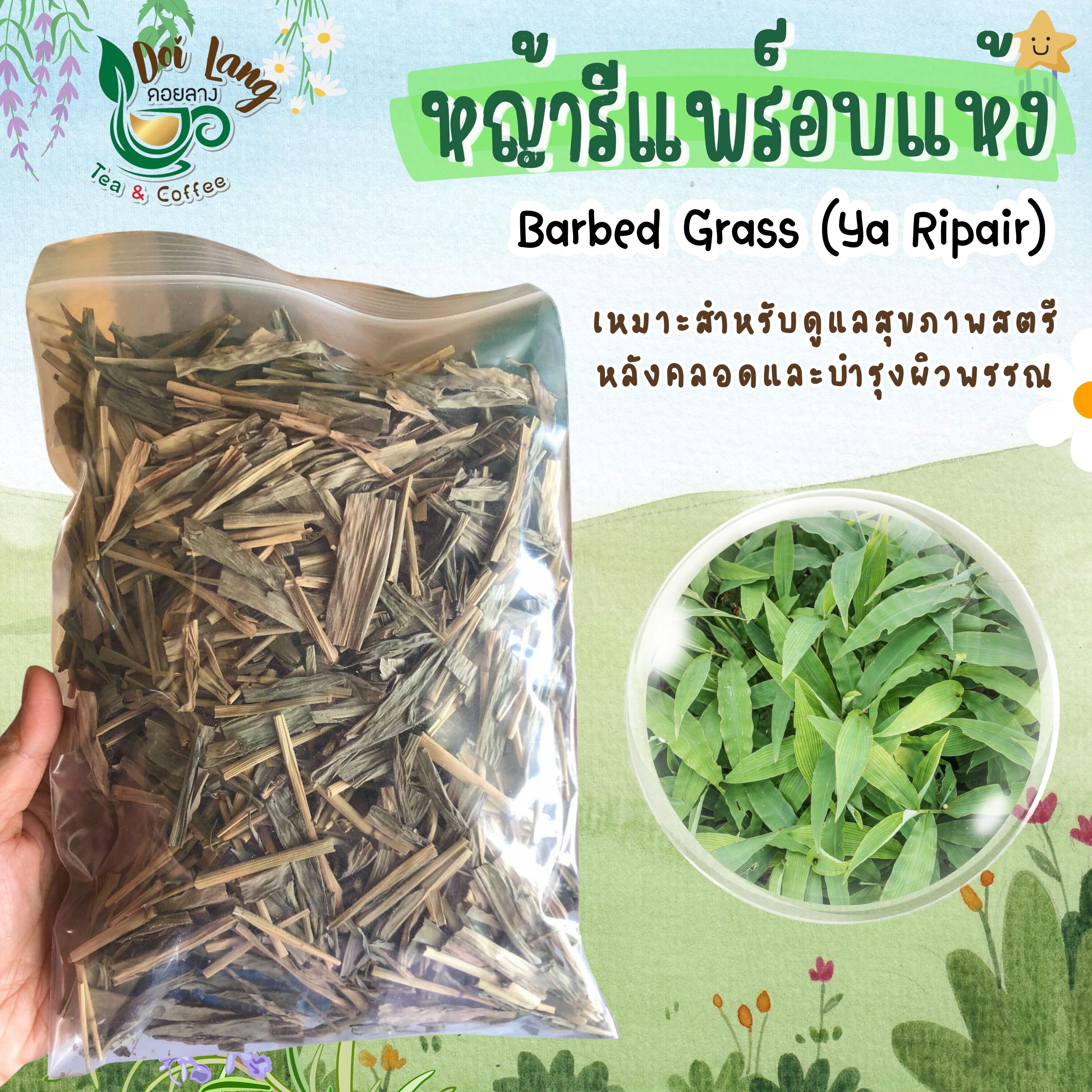 หญ้ารีแพร์ น้ำหนัก 50 กรัม 🌿 Premium Dried Repair Grass 📦 50g | Premium Grade ✨ หญ้ารีแพร์แบบอบแห้ง ชารีแพร์ Repair Grass คัดเกรด รับรองคุณภาพ🌿 အရည်အသွေးမြင့် အခြောက်ခံထားသော ပြန်လည်ပြုပြင်ရေးမြက်