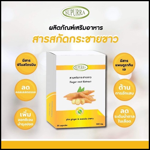 สารสกัดกระชายขาว Supurra