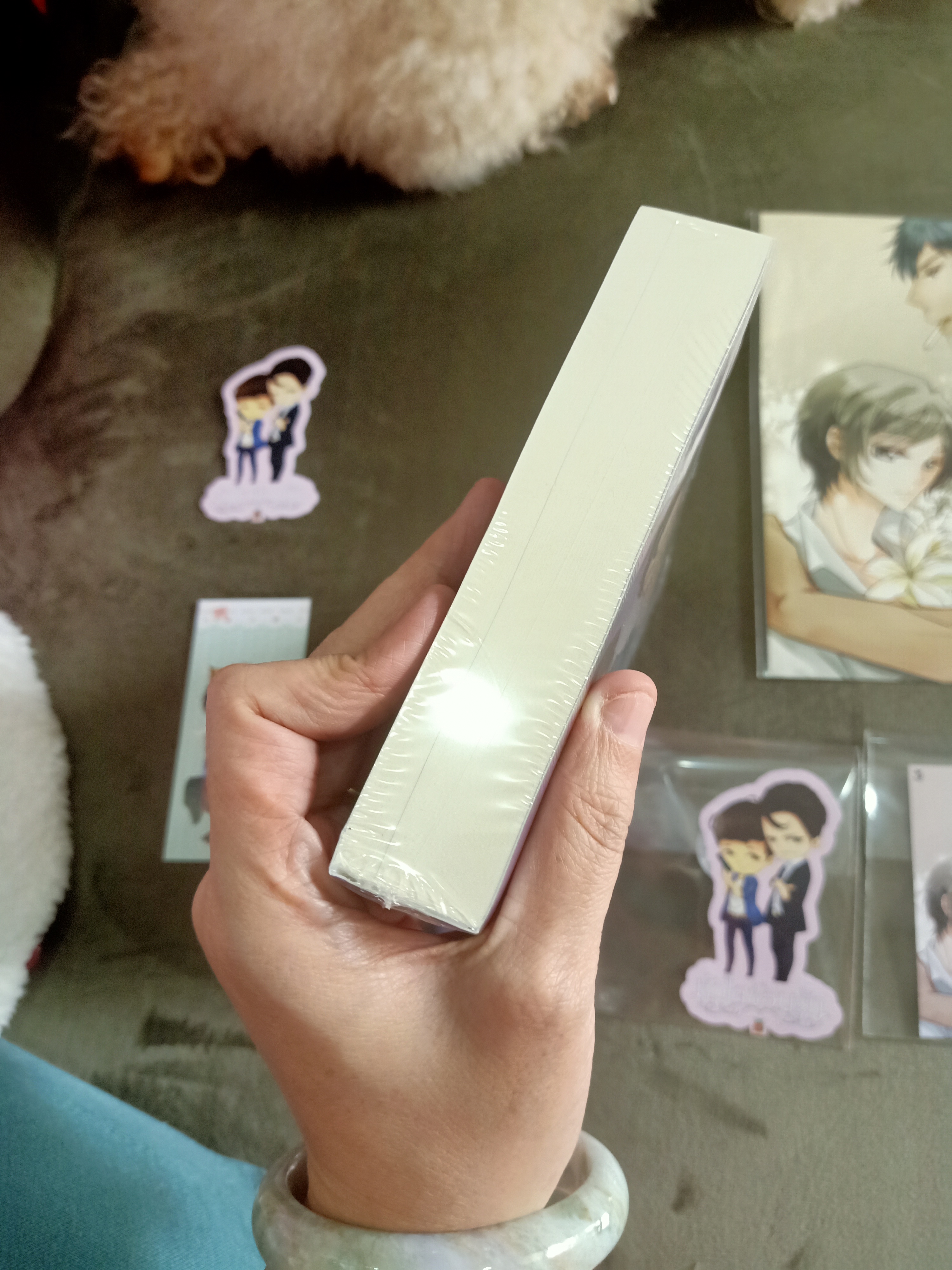 นิยาย หัวใจซ่อนรัก รอบจอง by wanmai I