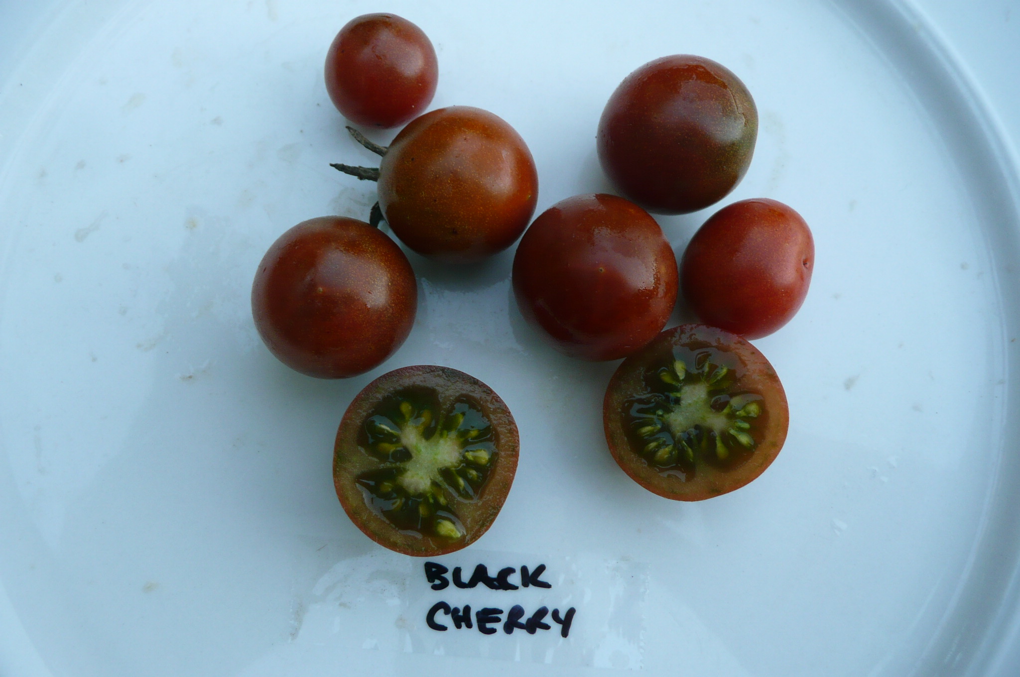 มะเขือเทศเชอรี่สีดำ - Black Cherry Tomato