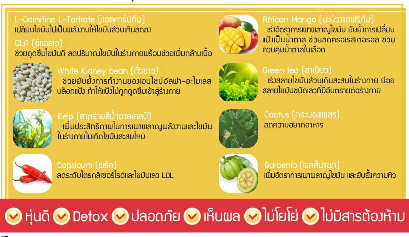 แมงโก้แมงโก้ พลัส หุ่นเพรียว (Mango Mango Plus)