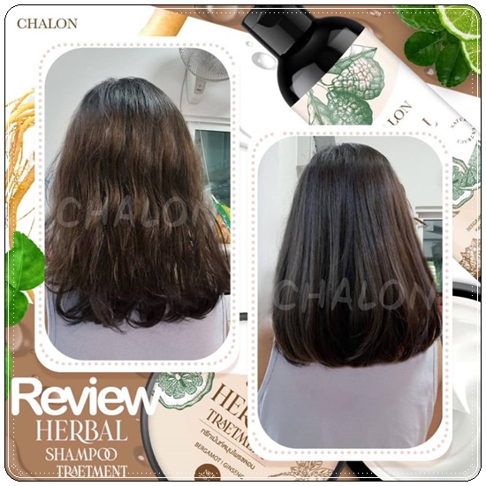แชมพูมะกรูดชลอน Chalon Herbal Shampoo (แถมฟรี ทรีทเม้นชลอน)