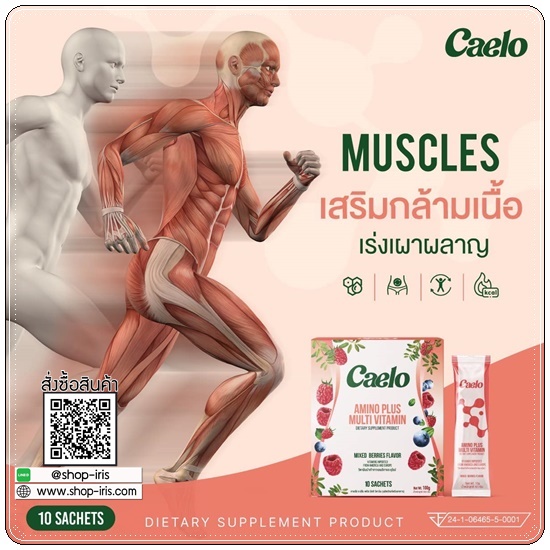 คาเอโล่ Caelo Amino Plus