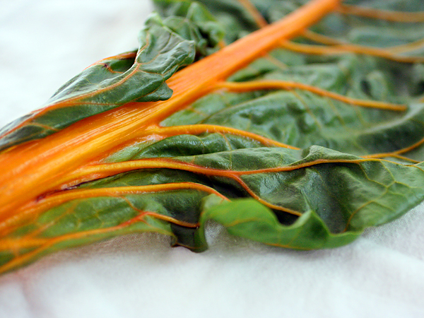 สวิสชาร์ดสีส้ม - Orange Fantasia Swiss Chard