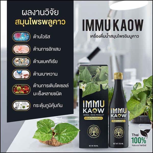 เครื่องดื่มน้ำสมุนไพร อิมมูคาว IMMU Kaow (ของแท้ ส่งฟรี)