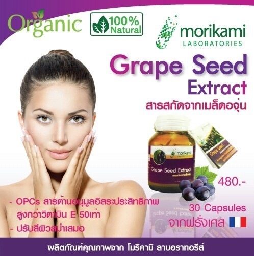 เกรพซีด (Grape Seed) สารสกัดจากเมล็ดองุ่น