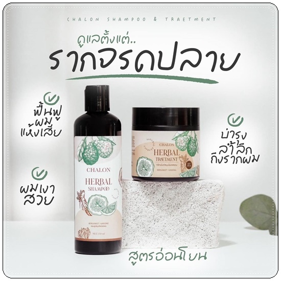 แชมพูมะกรูดชลอน Chalon Herbal Shampoo (แถมฟรี ทรีทเม้นชลอน)